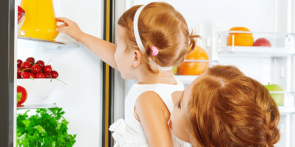 refrigerator repair green cove springs
